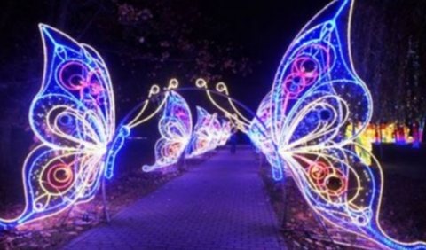 Butterfly Arch Christmas decoration light by JKPARKRIDES