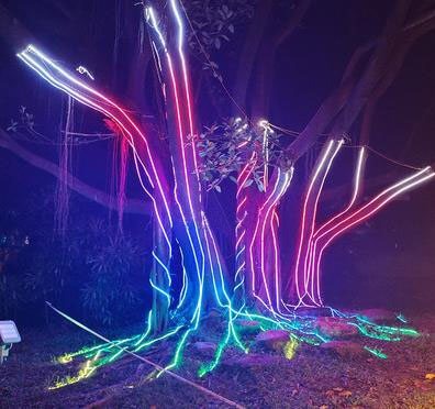 Dream Colour Strip Christmas decoration light by JKPARKRIDES