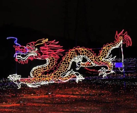 Dragon Christmas decoration light by JKPARKRIDES