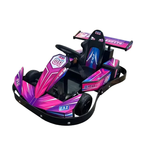 350w 24ah Battery Outdoor Drifting Kart Wholesale Electric Car Go Karts For Kids — overall equipment view