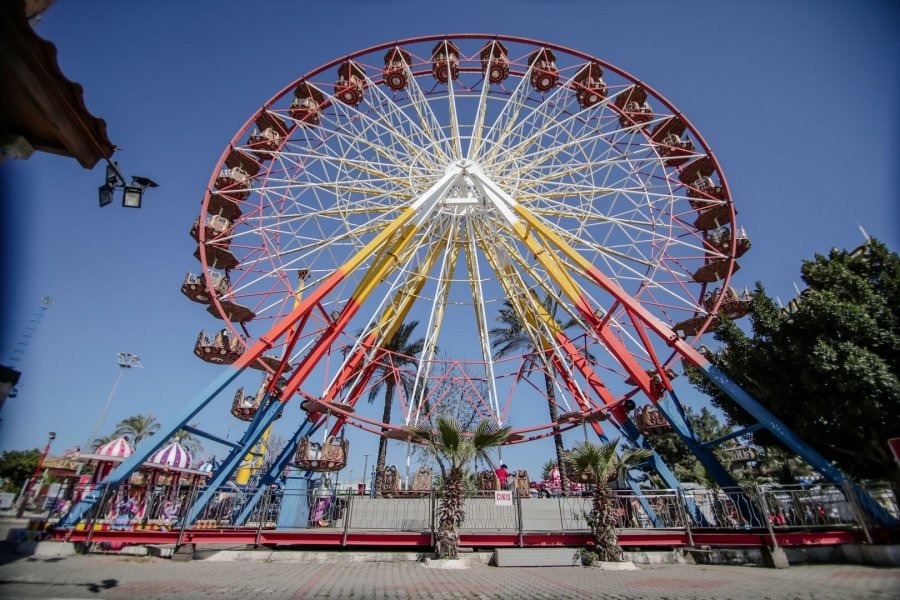 Ferris Wheel — overall equipment view