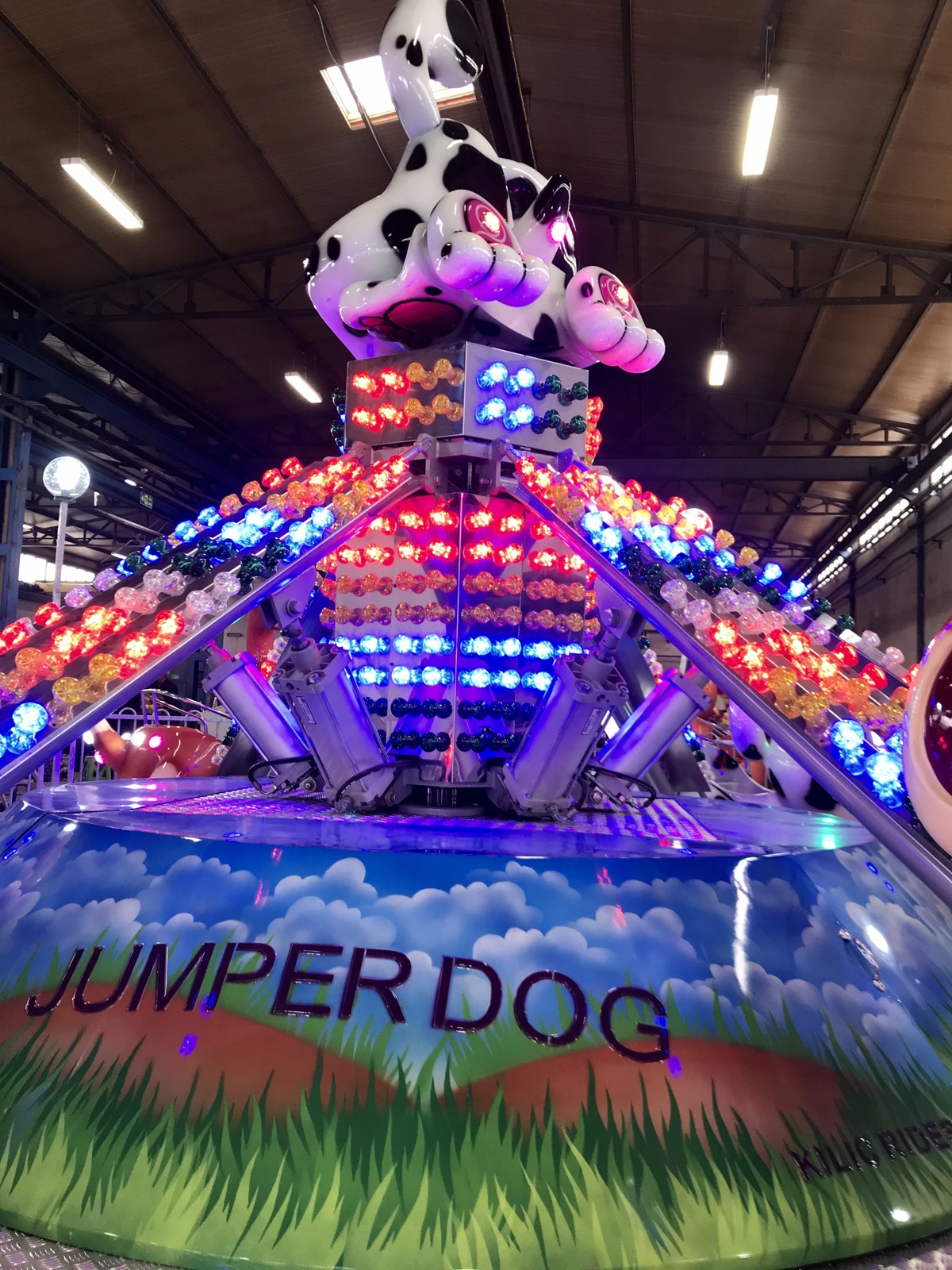 Jumper Dog — additional view of the equipment