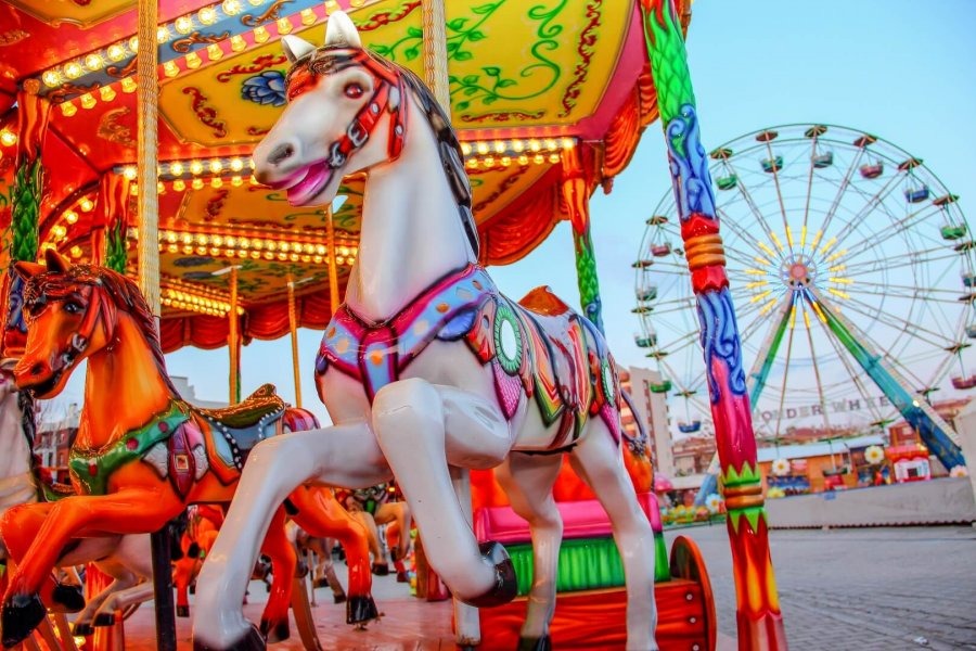 Carousel — seat or equipment detail