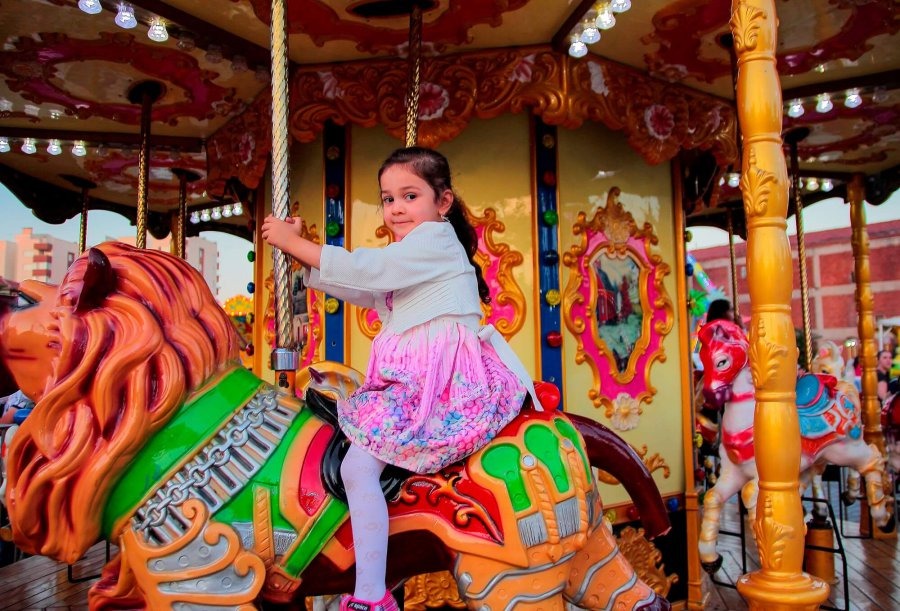 Carousel — seat or equipment detail