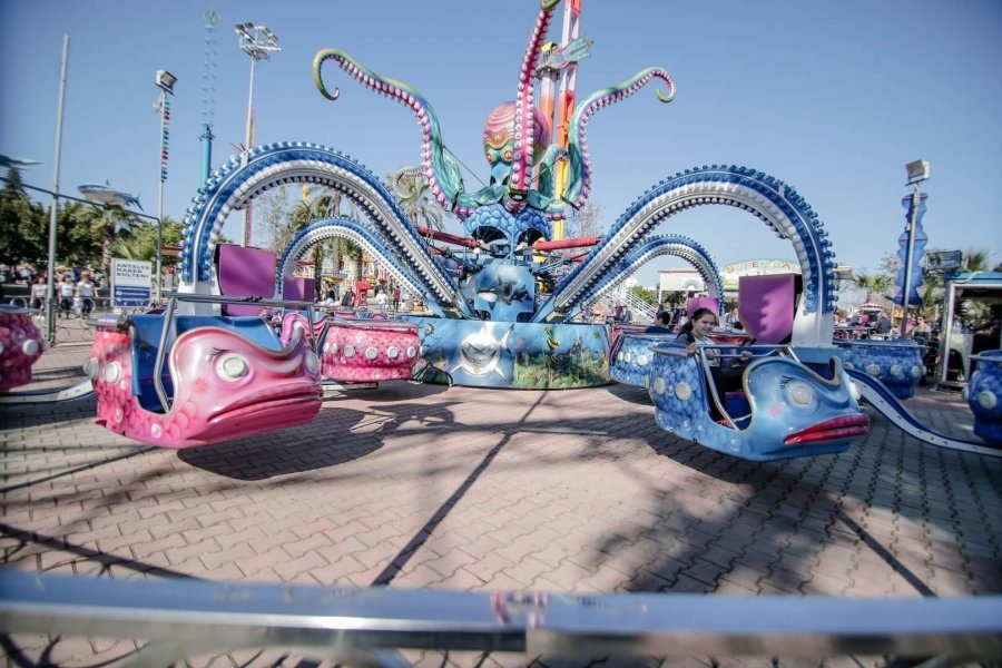 Octopus — overall equipment view