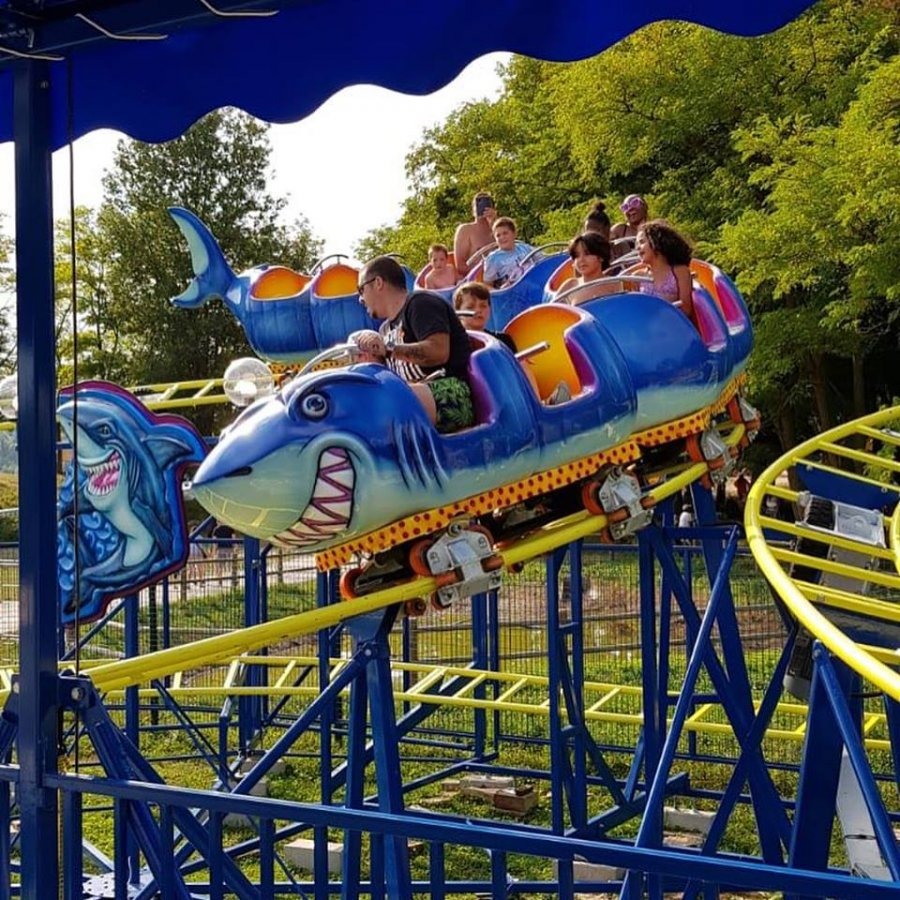 Shark Trip — seat or equipment detail