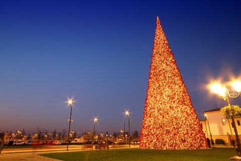 الأشجار العملاقة من نطاق خضراء النور